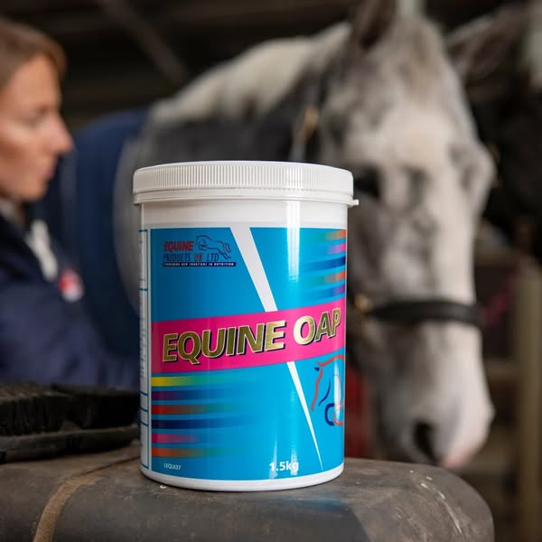 Supporting your veteran horse