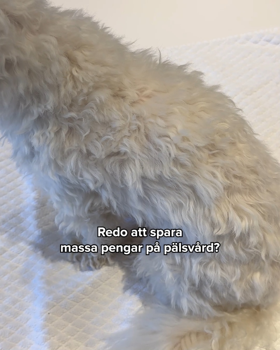 Snabb leverans och 100% nöjdhetsgaranti