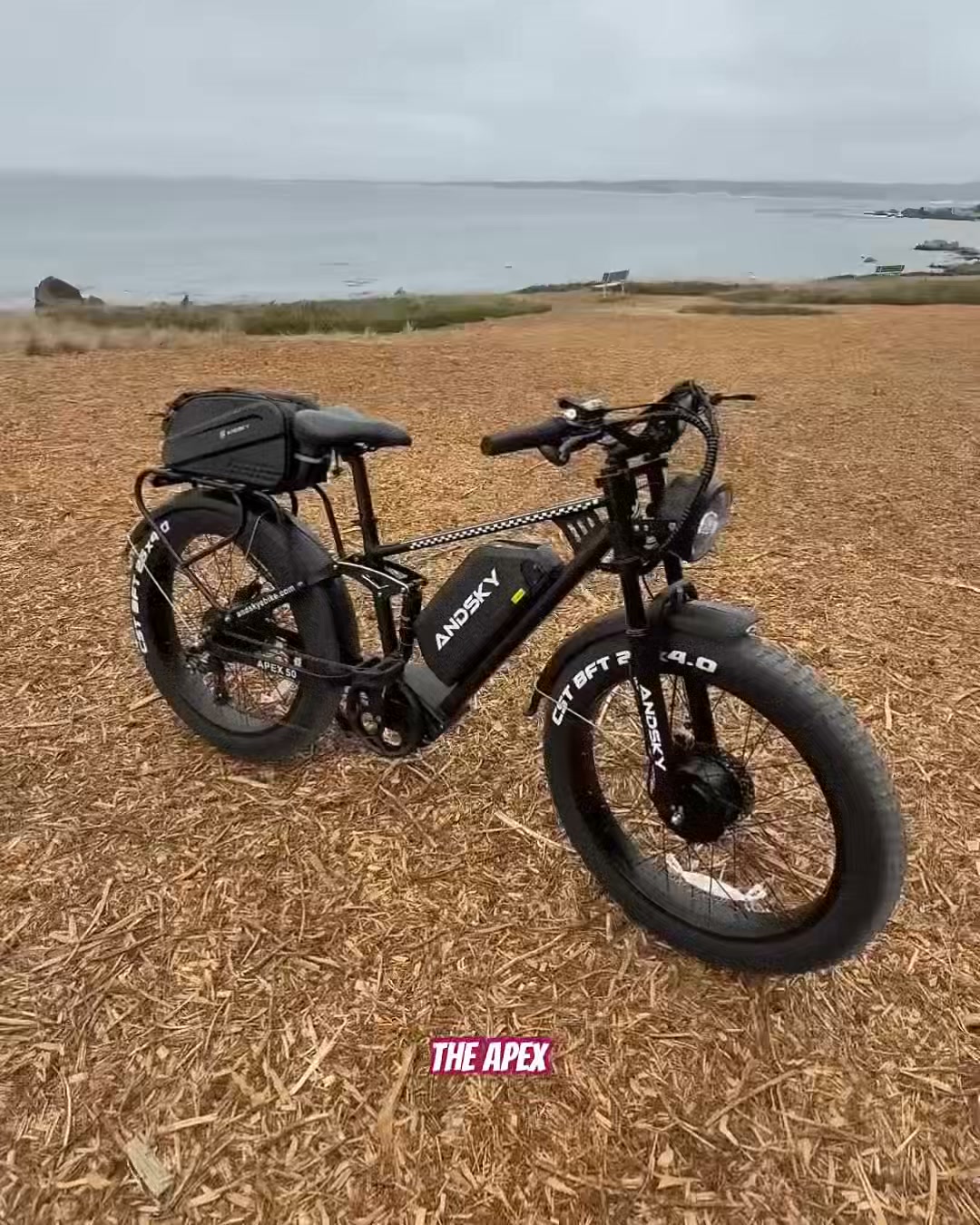 2 Motors. 3 Drive Modes. From €1,199.