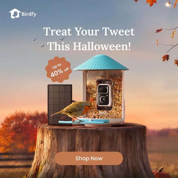 Birdfy