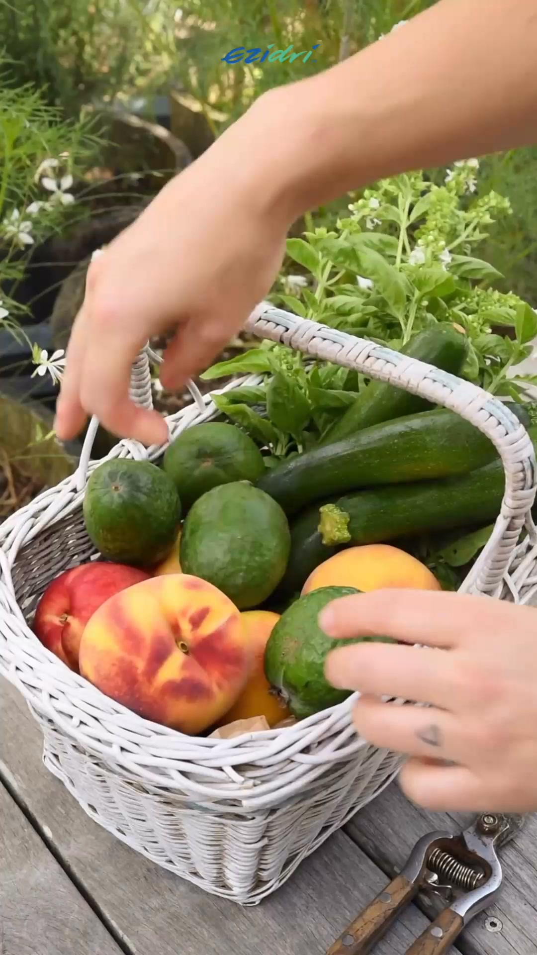 Dein Gartenüberschuss, gelöst. 20 % Rabatt, nur für kurze Zeit.