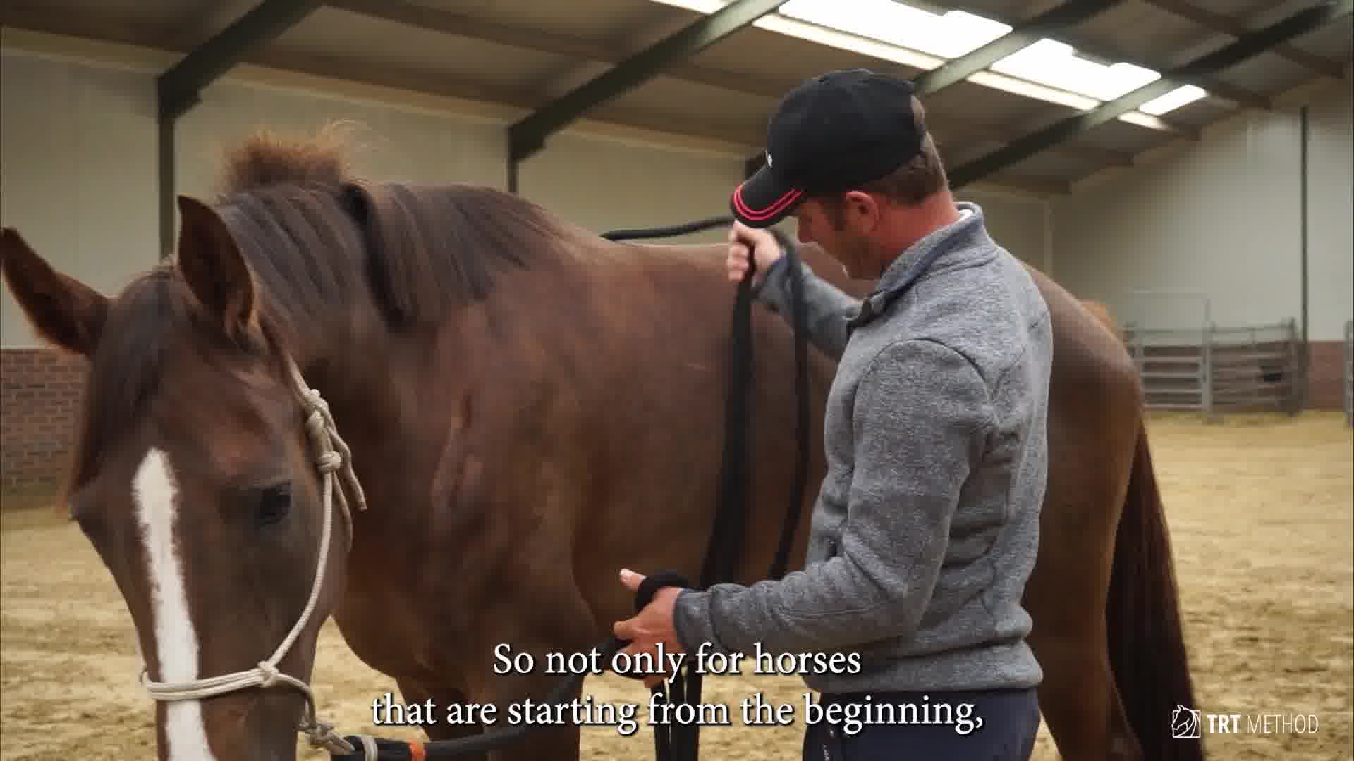 Start your young horse, with me!
