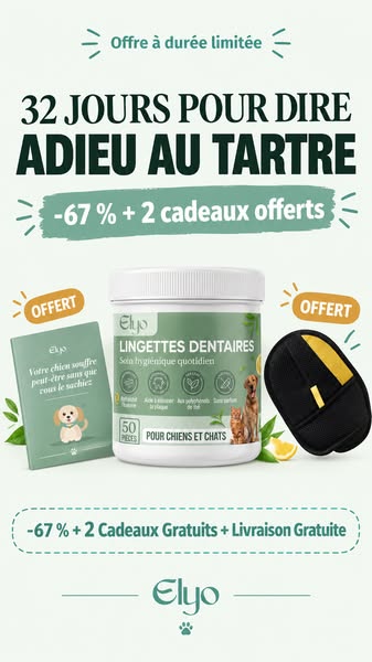 Offrez à votre chien une vie plus saine et plus heureuse