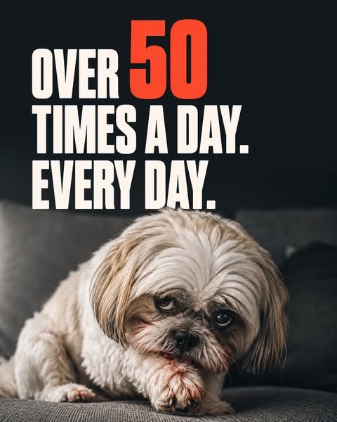 Give Them More Of The Good Days