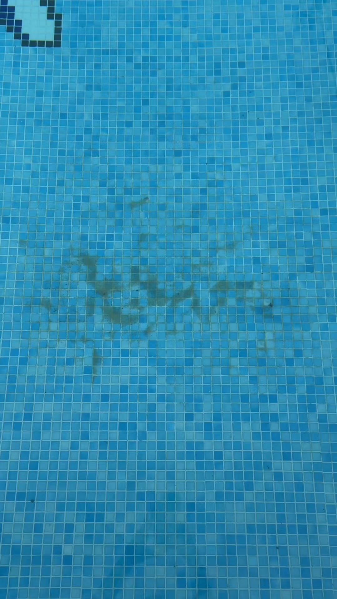 Una piscina impecable. Sin esfuerzo.