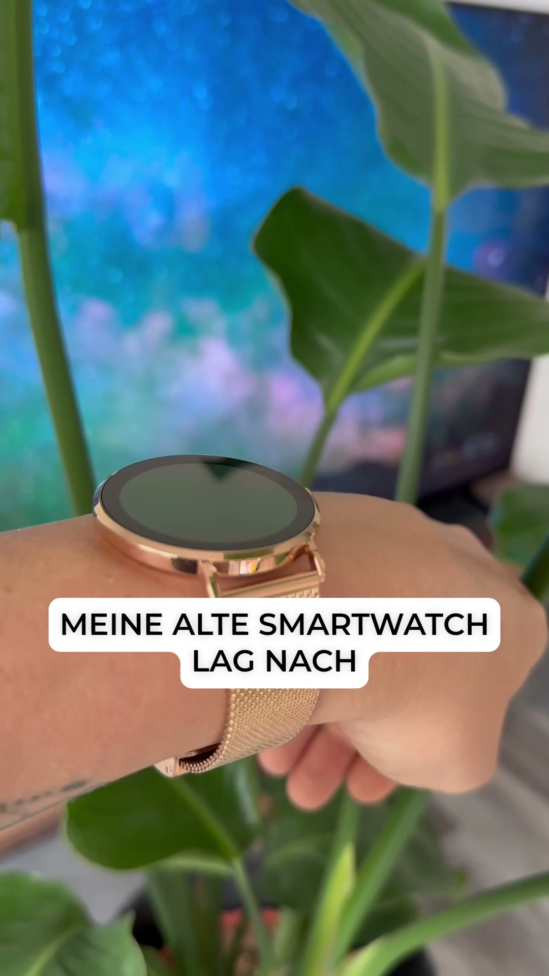 50% Sonderaktion