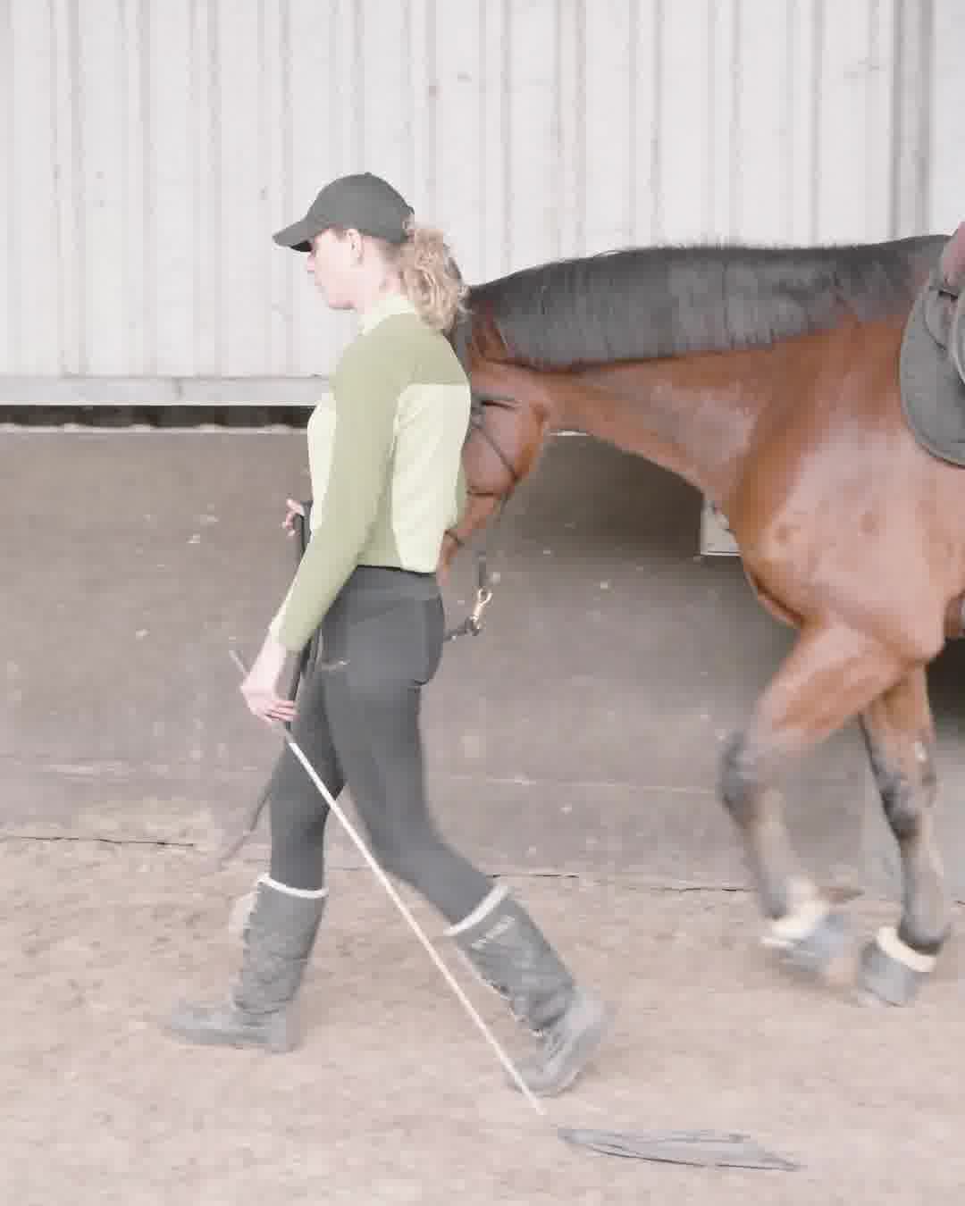 Works for every horse