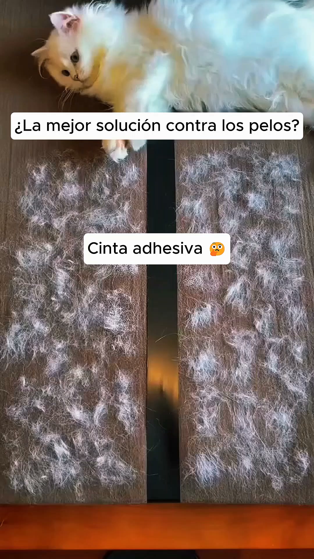 ¡1+1 Gratis solo hoy!