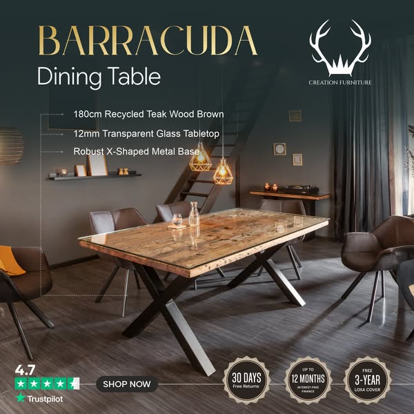 A Dining Table That Gets Noticed