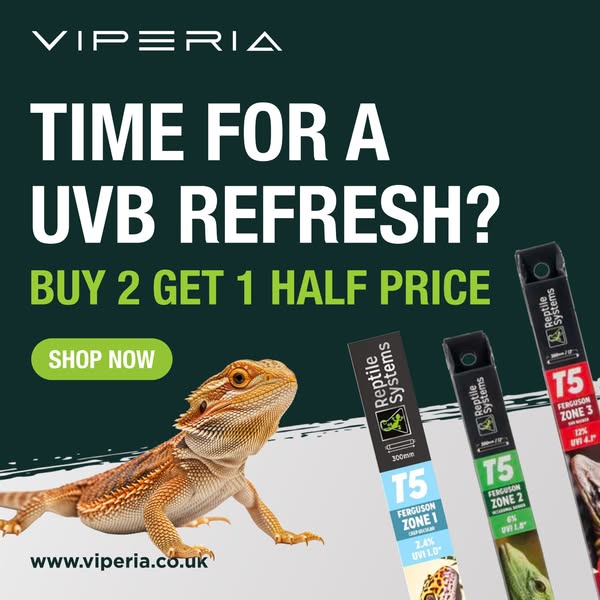 BUY 2, GET 1 HALF PRICE!