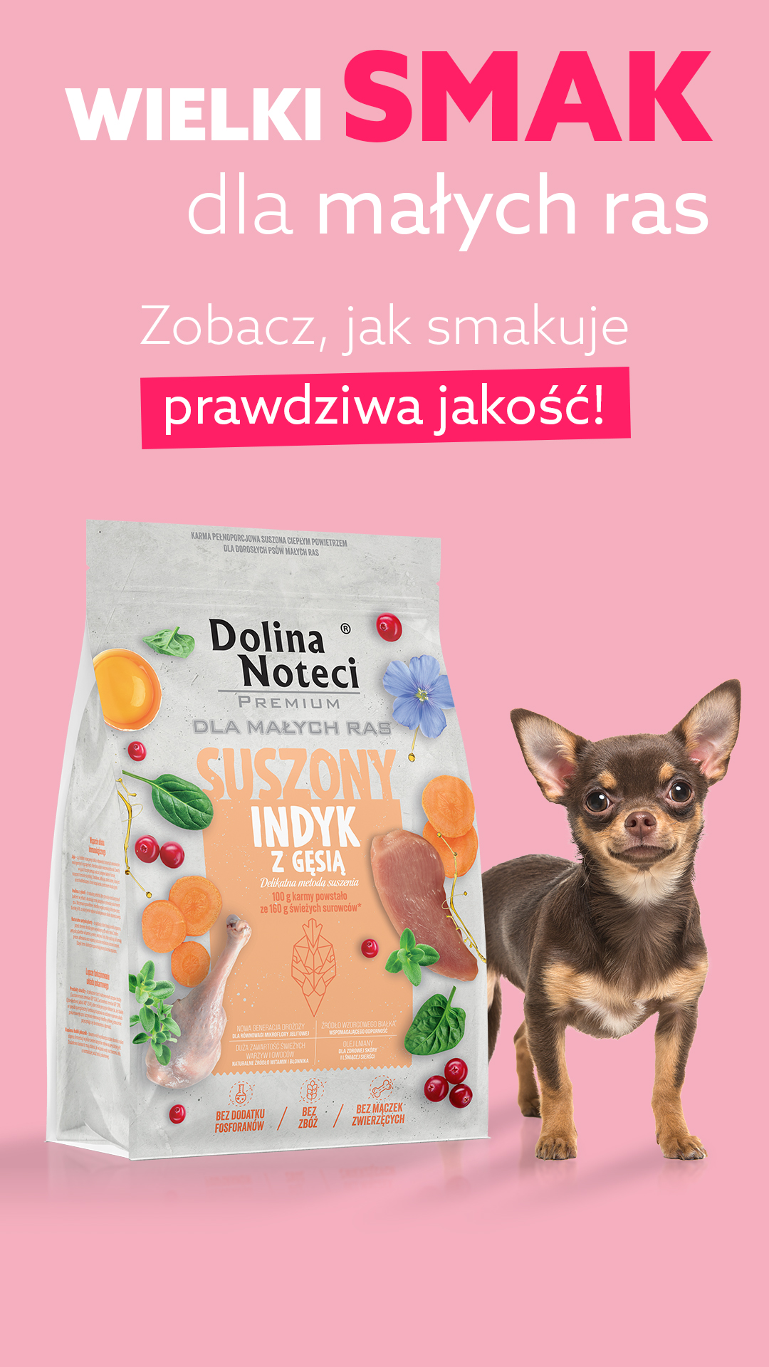 Najlepsza karma dla małych ras!!