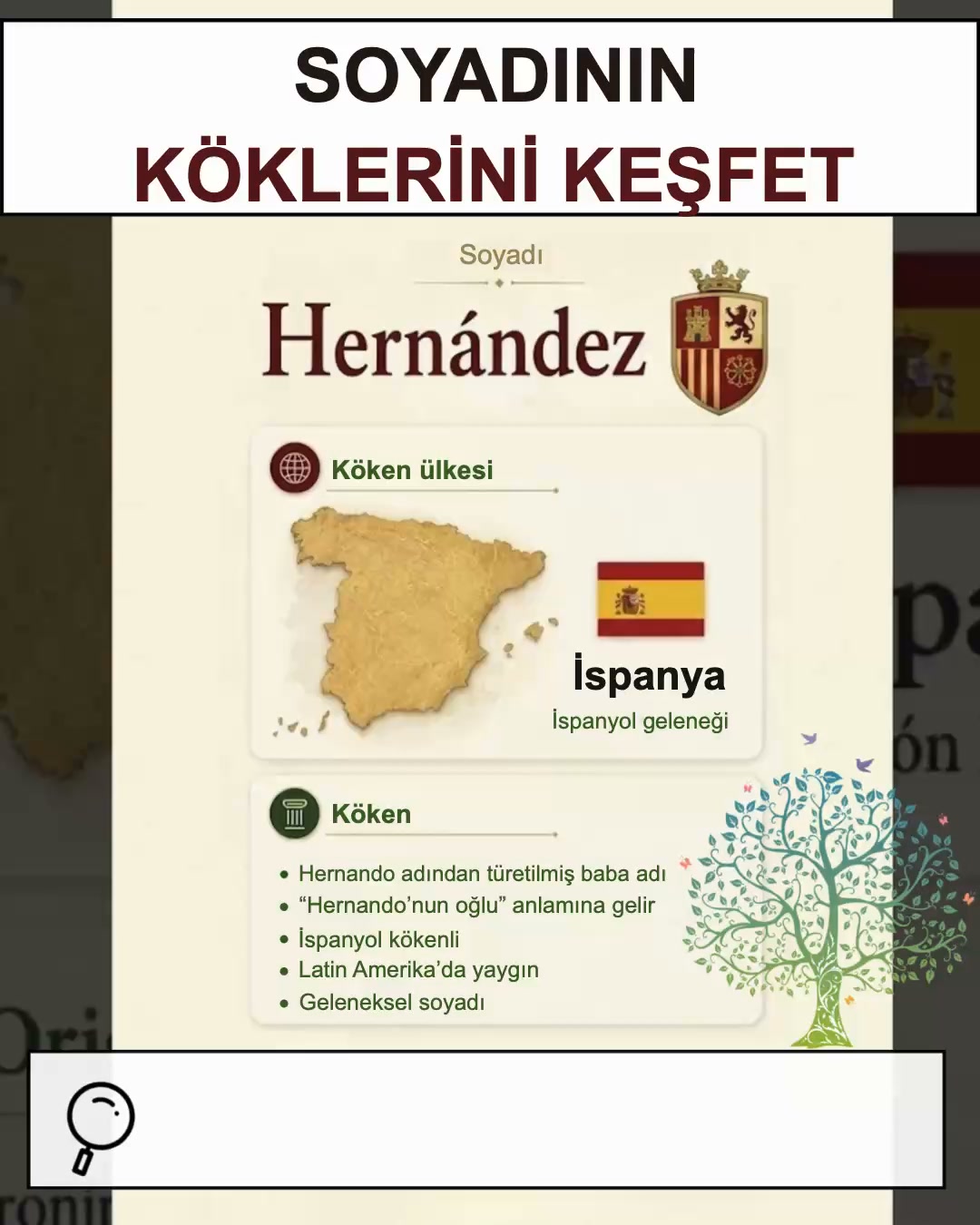 Kökenini keşfet