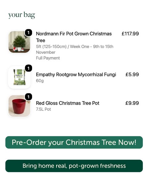 Pre-Order Your Real Pot-Grown Christmas Tree