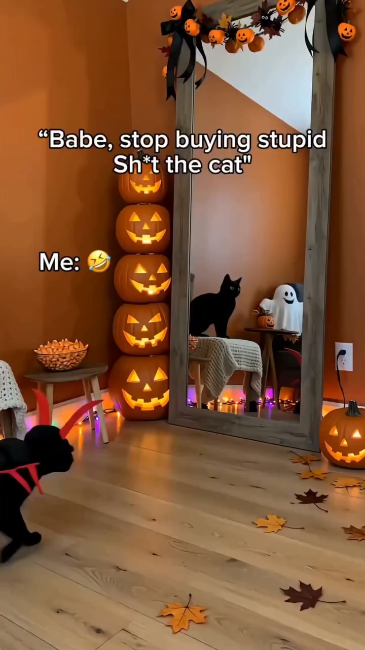 Cat Centipede Costume for Halloween