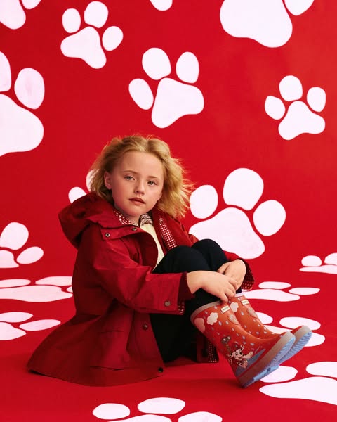 Hunter's PAW Patrol Collection