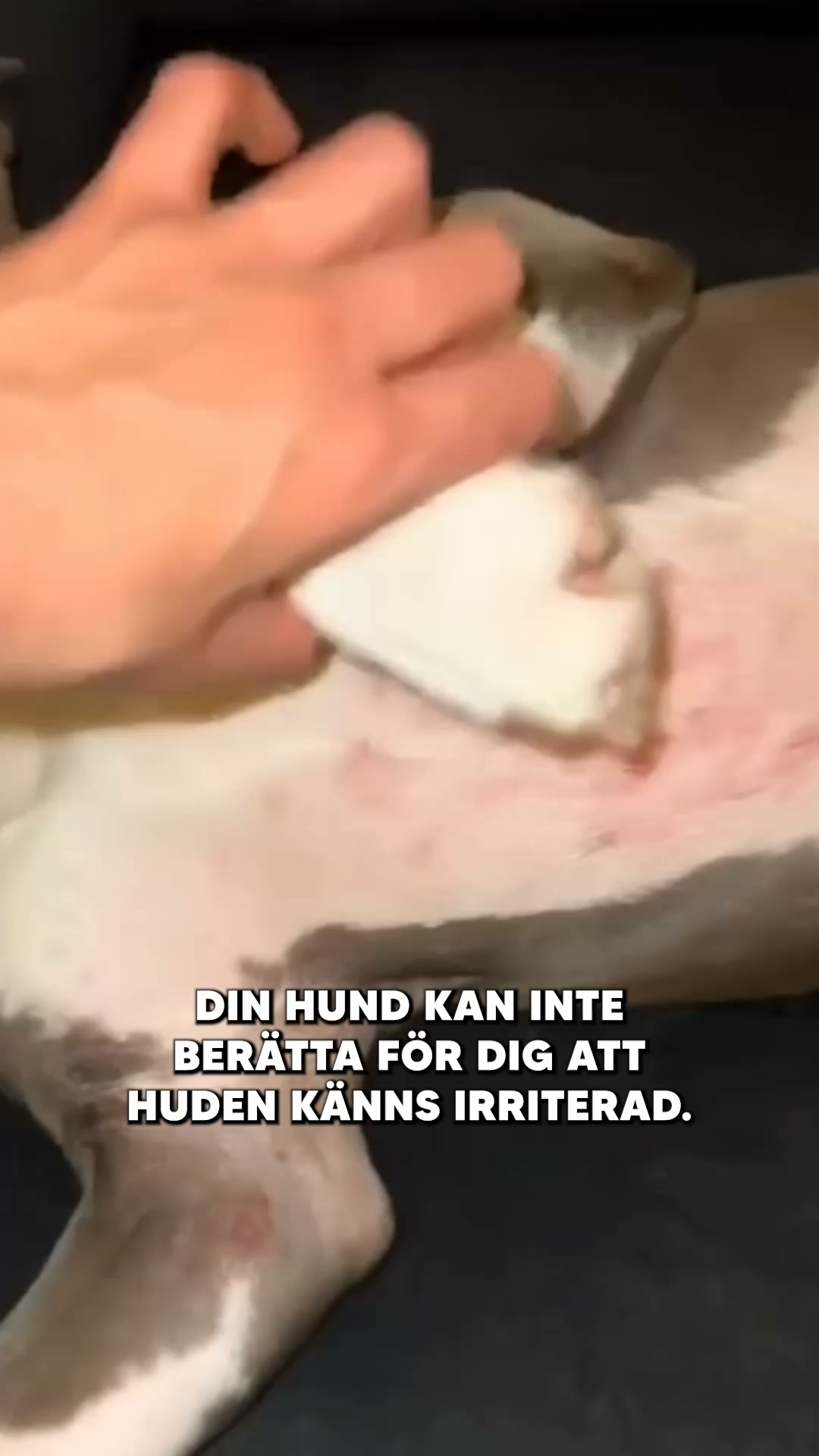 Nyhet: SuppliPet Anti Itch