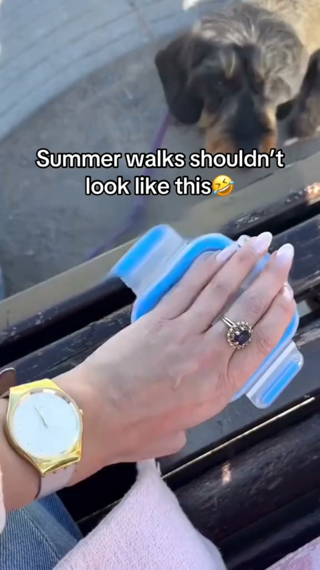 Water for your dog — clipped to your wrist, ready in 3 seconds.