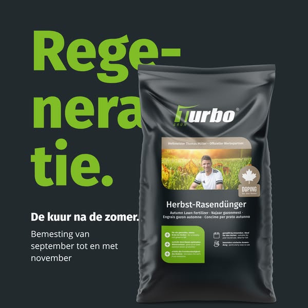 Je gazon redden na de zomer