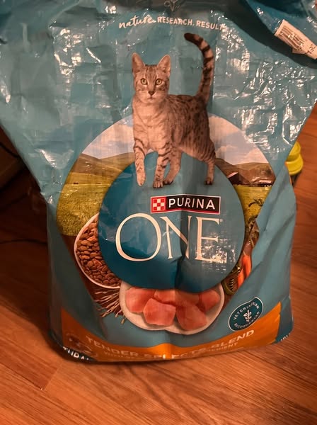 Veterinarian Speaks The Truth..