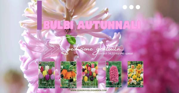 È ora di piantare! Scegli i tuoi bulbi autunnali