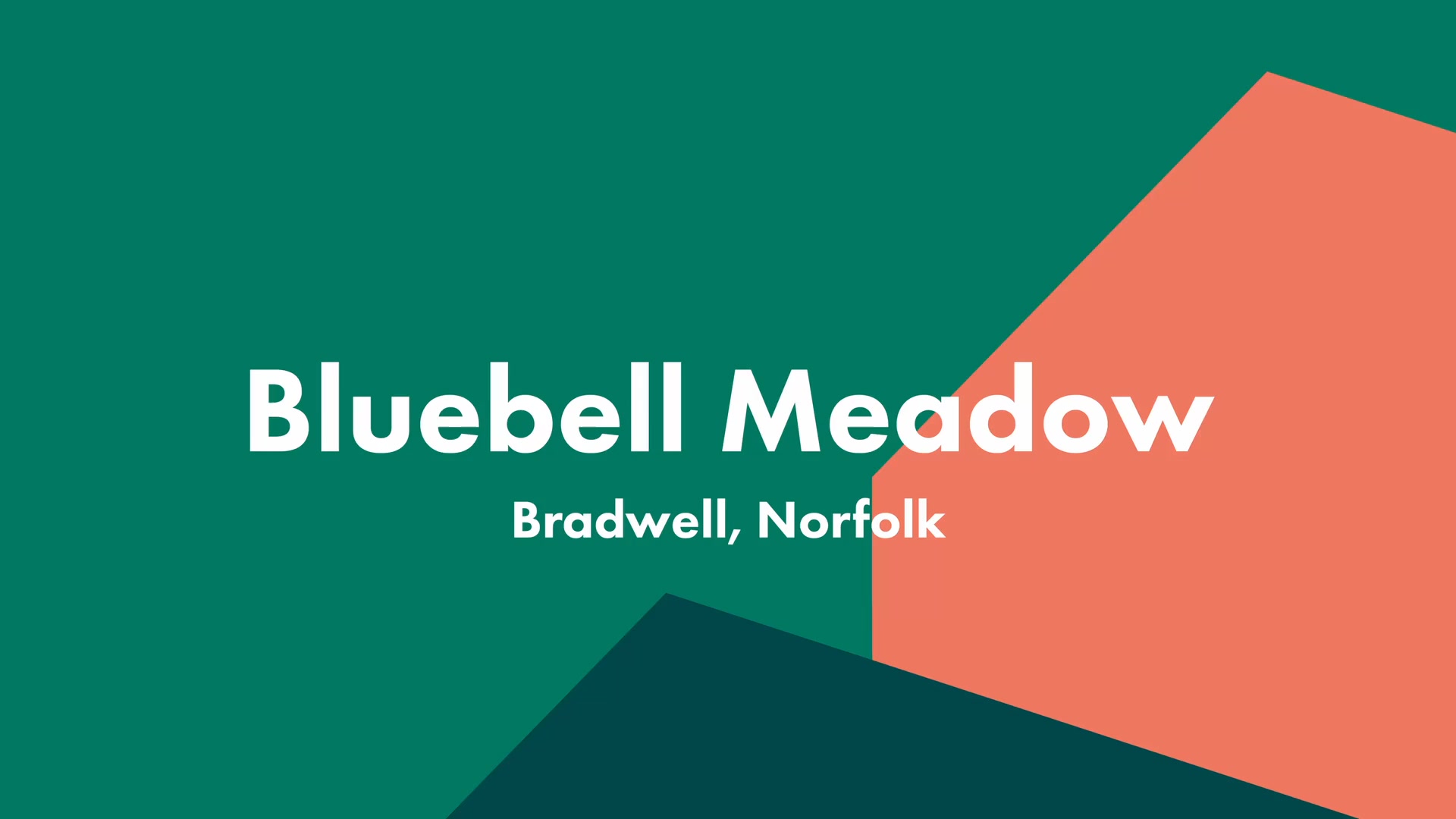 Find Your New Home in Bradwell