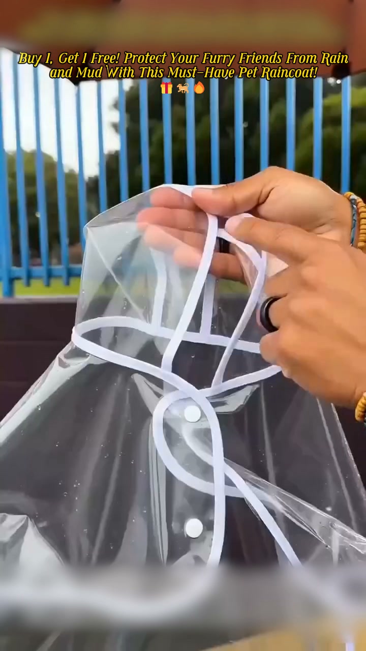 50% OFF | Transparent Waterproof Dog Raincoat