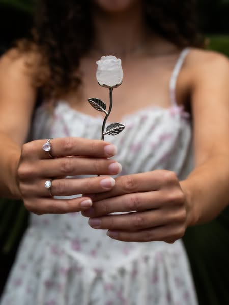 Shop de rozen voor je geliefde!