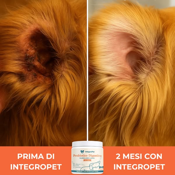 Elimina il Prurito del tuo Cane alla Fonte