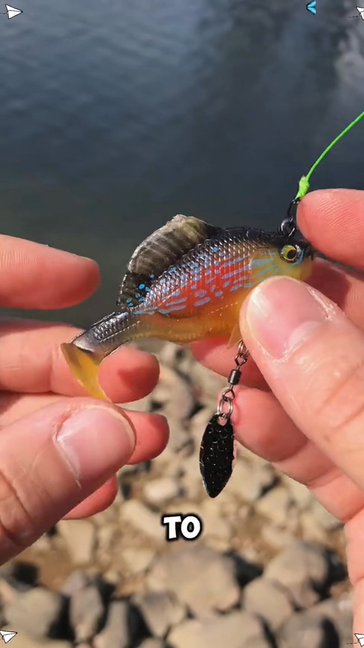 6Pcs Multiple Pre-Rigged Jig Head Soft FishingLures