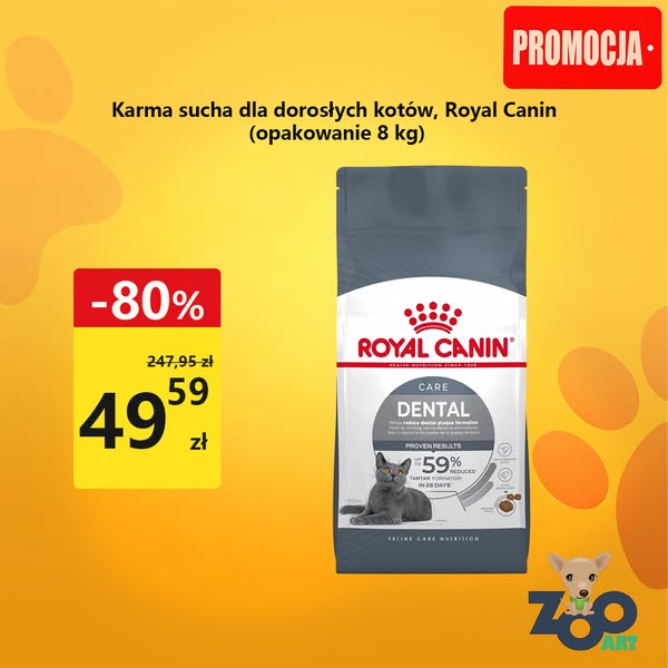 Zadbaj o szczęśliwe chwile swojego zwierzaka!