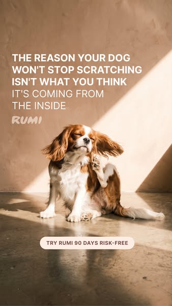 If your dog does this after eating, it's not the food