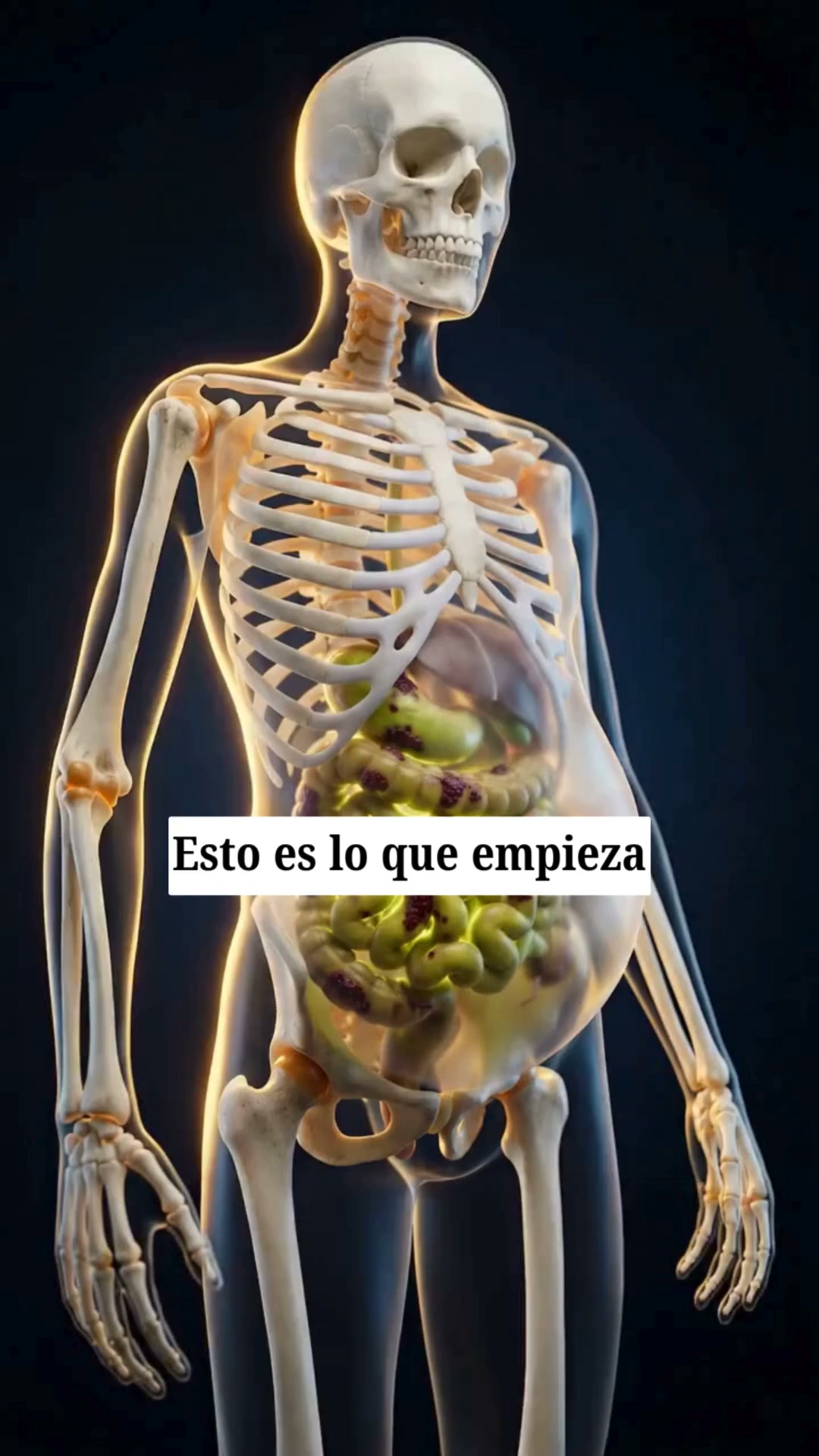 3 REGALOS Y 70% de DTO + Envío Gratis hoy