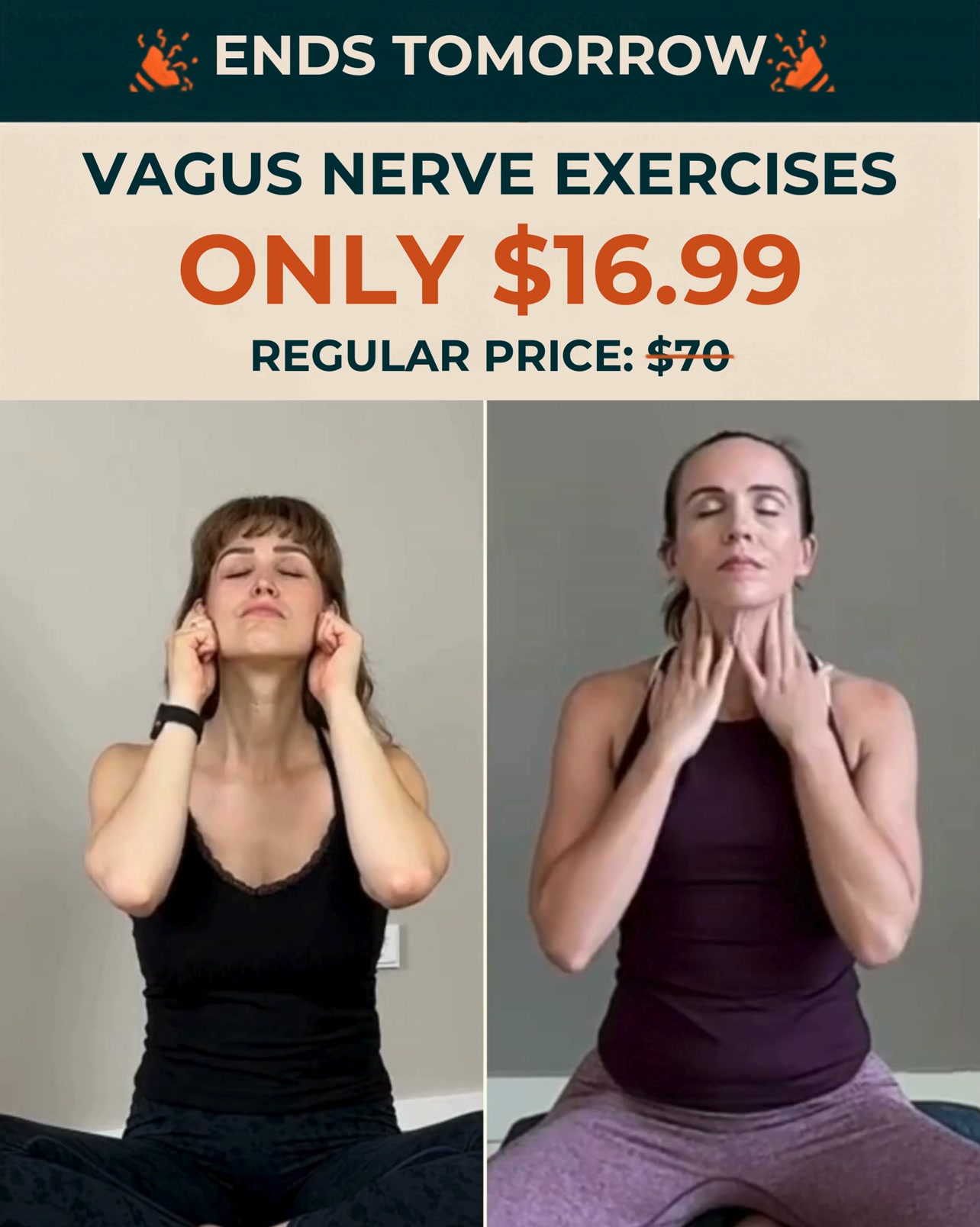 CLOSING NOW: The 4-Week Vagus Nerve Protocol For Burnout & Chronic Fatigue