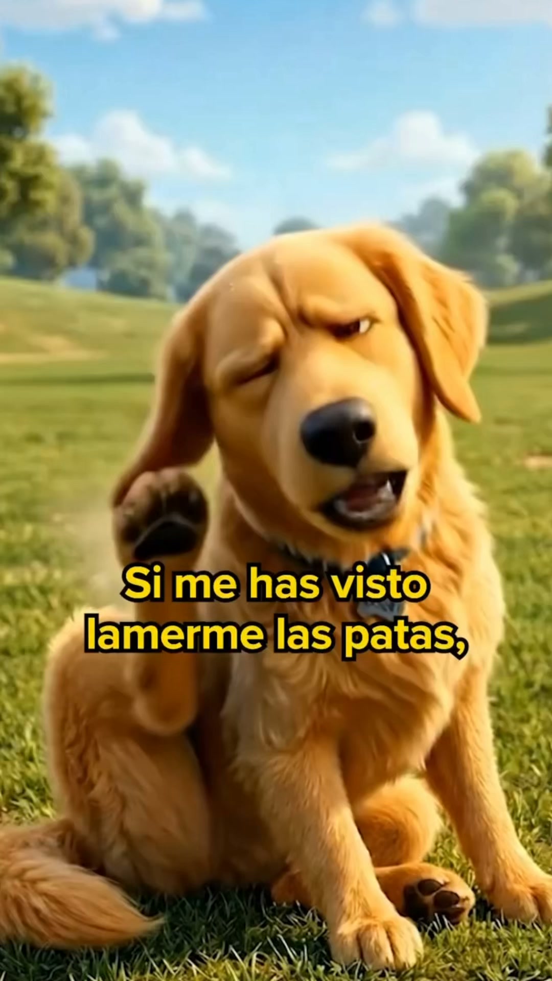 +50.000 perros ya lo usan