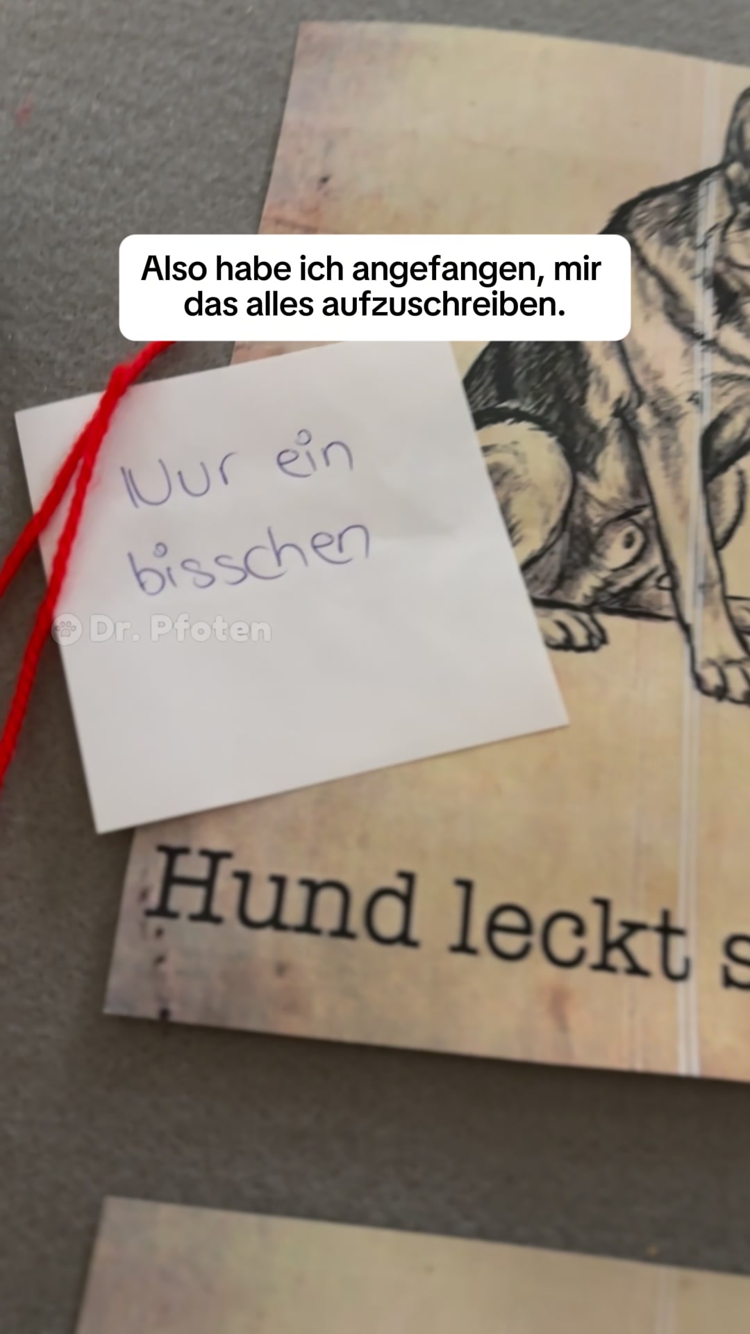 Nach 30 Tagen kratzt dein Hund weniger. Natürlich. Ohne Chemie.