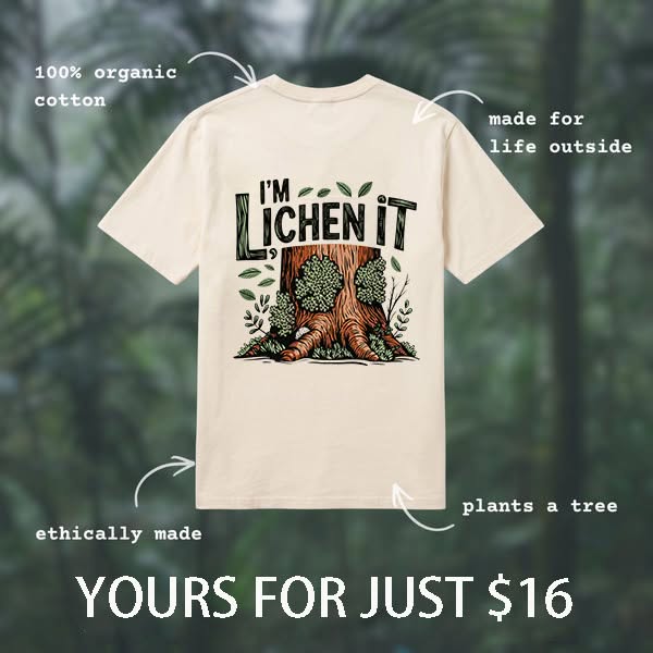 Buy 2 get 10% off(Code:NEW10)