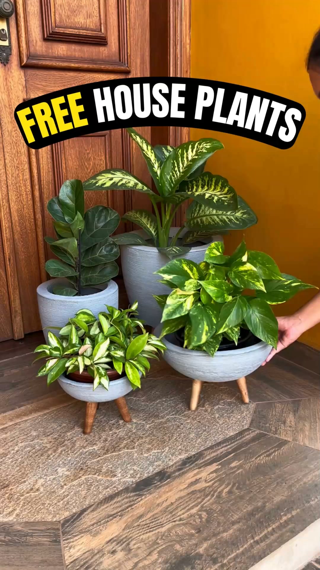 GET YOURS TODAY