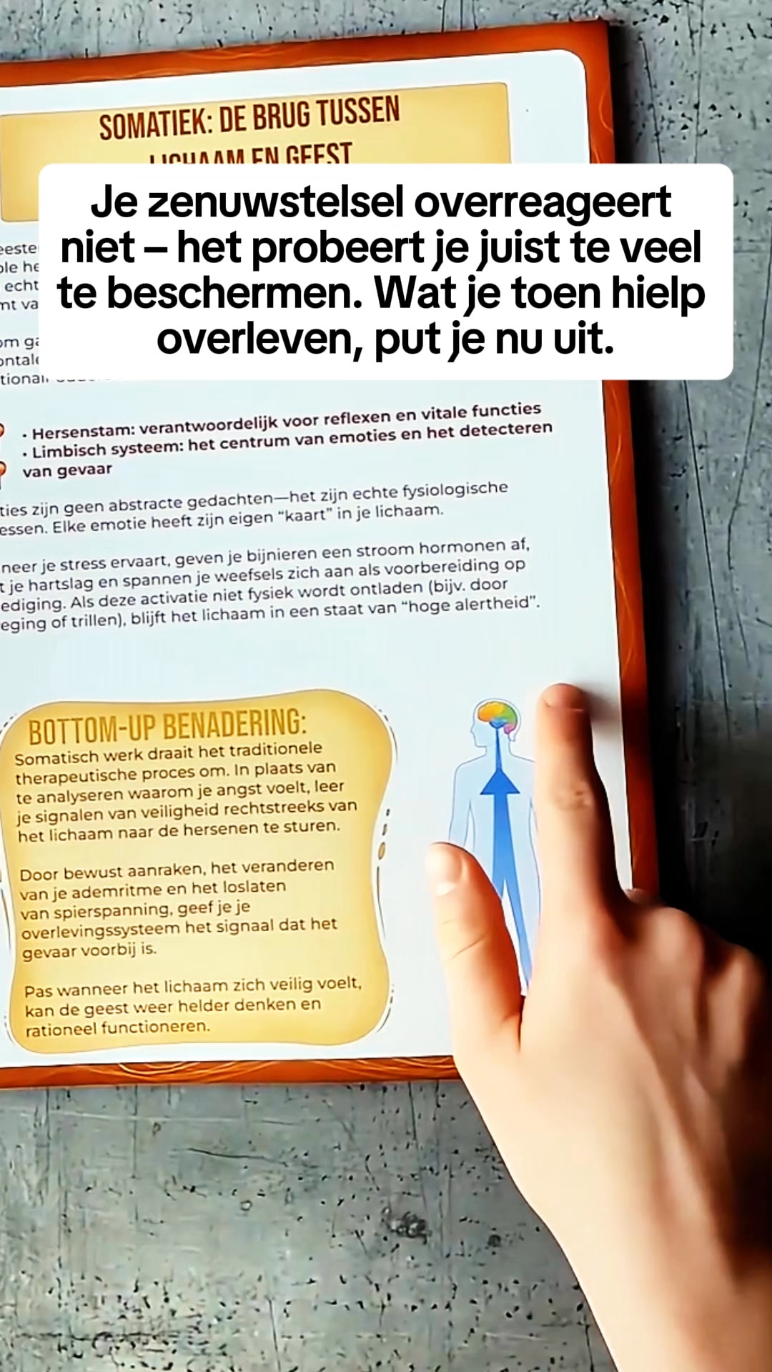 Werkboek Somatische Therapie
