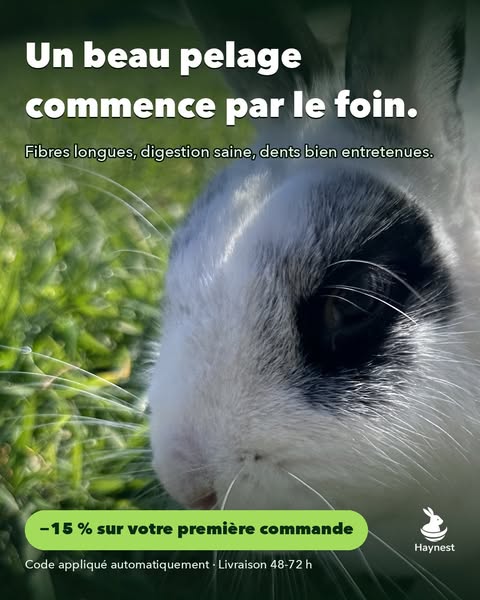 Foin premium de Crau — −15 %