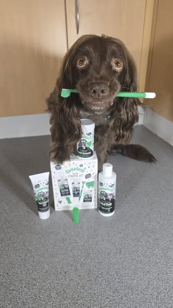 Shop the full dental care range