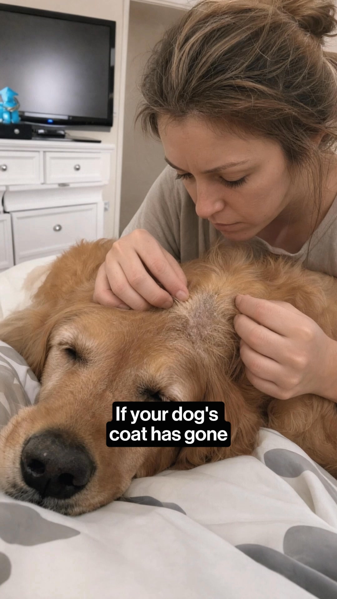 Vet-Recommended Itch Relief