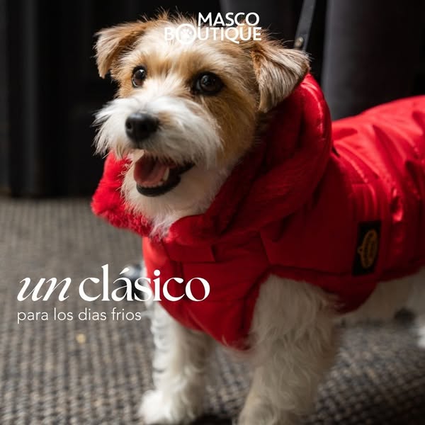 El mejor abrigo para tu perro