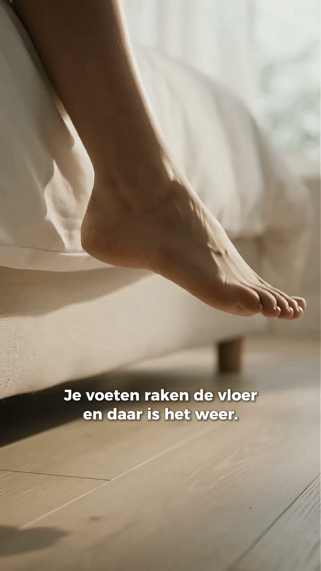 4.7/5 door 10.000+ klanten