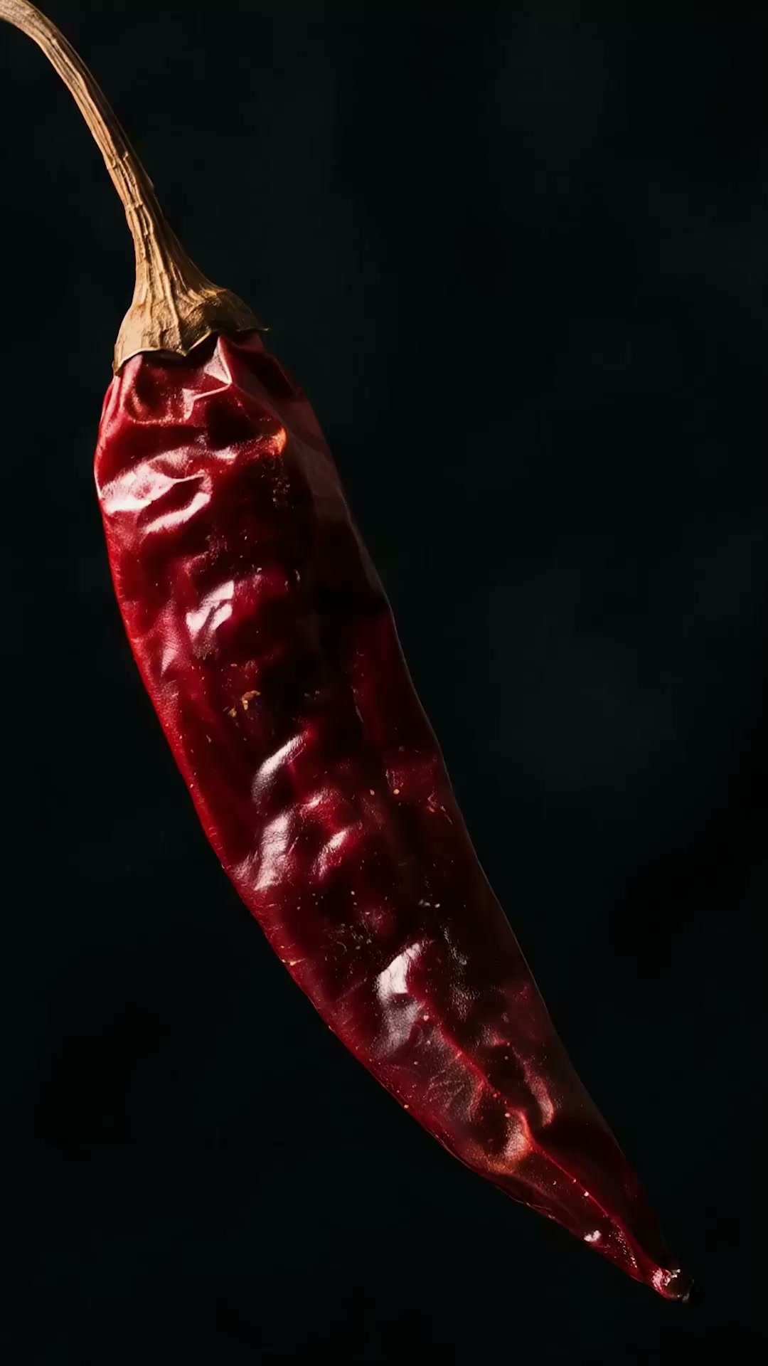 Octo Spice is nu verkrijgbaar