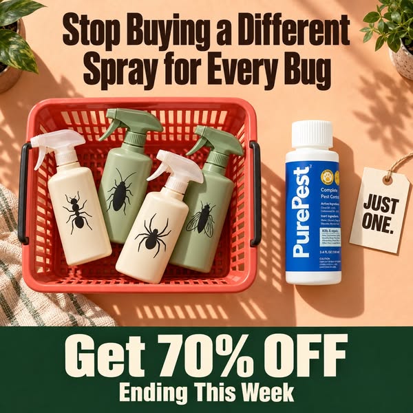 We Put Exterminators Out of Business For $25