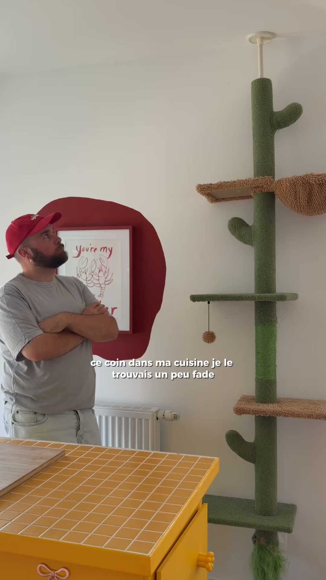 +800 motifs tendance, qualité pro