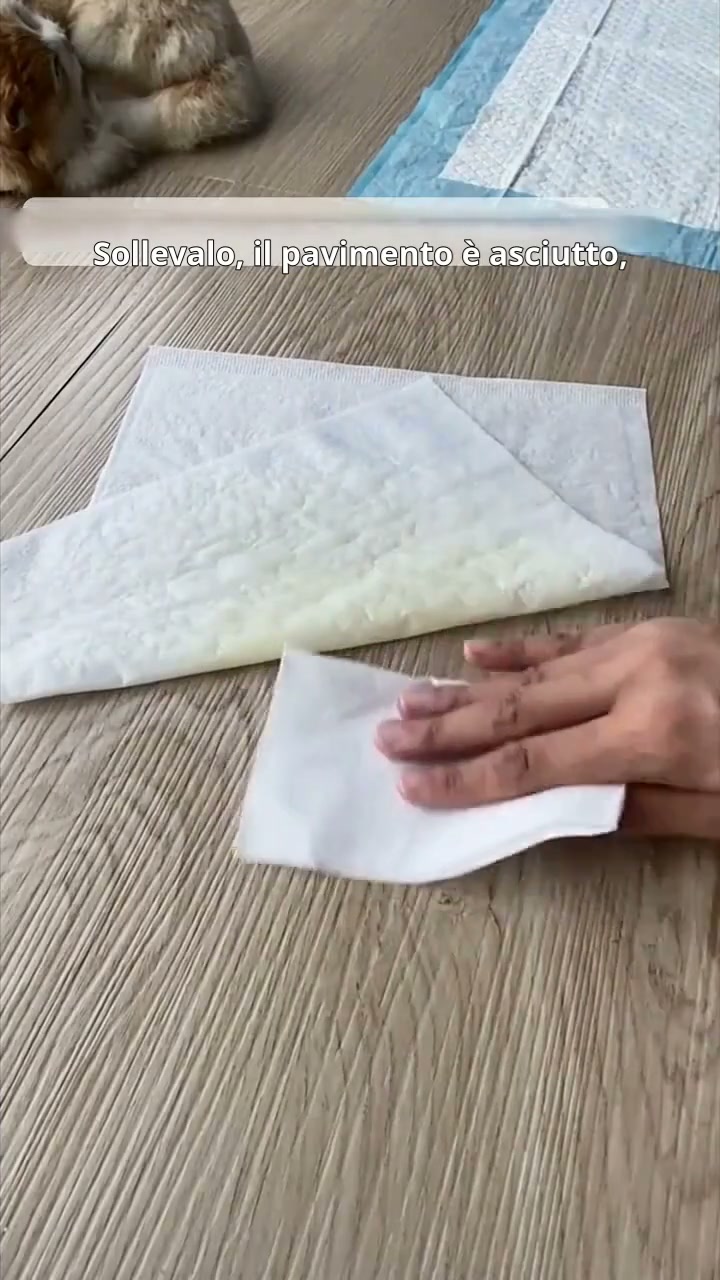 Anúncio de Nishomee