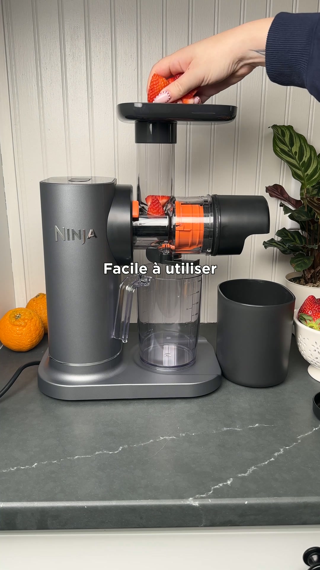 Extracteur de jus à froid Ninja