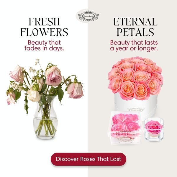 Roses That Last a Year or Longer