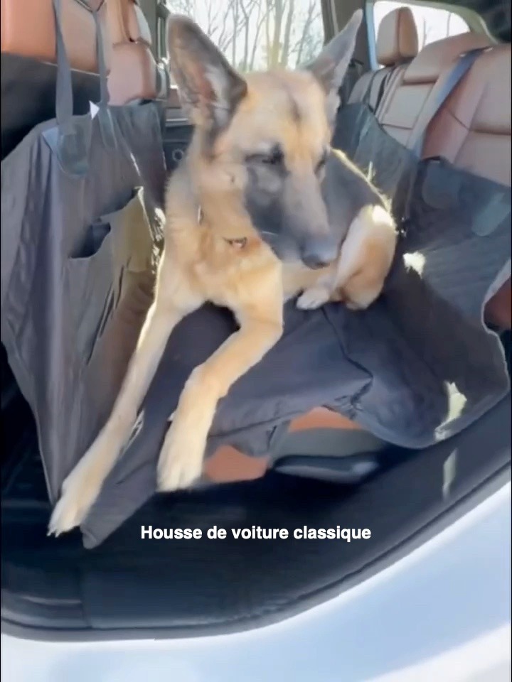 Housse de voiture à fond rigide pour chien
